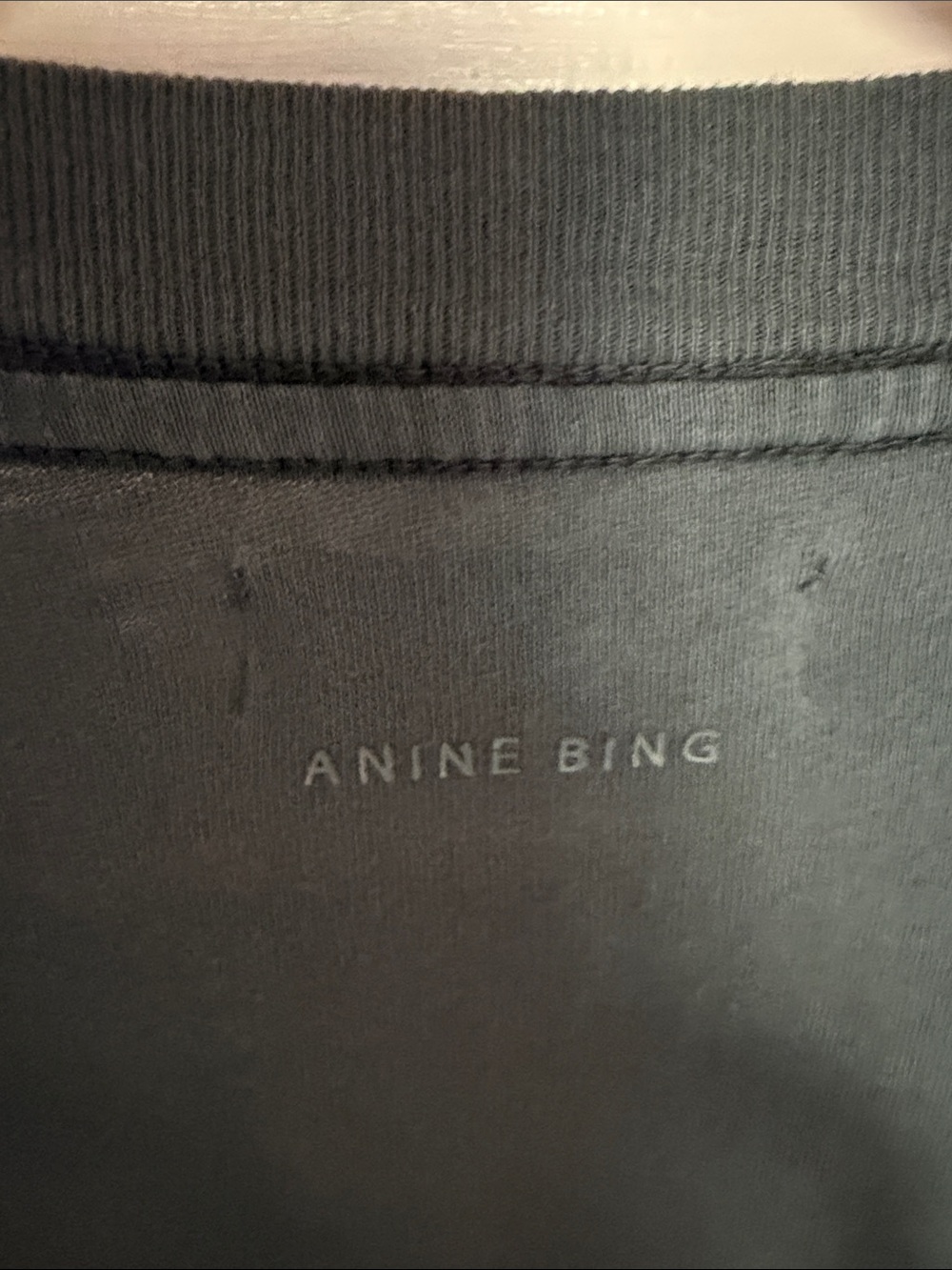 ANINE BING Men's Teal Graphic Eagle Tee - Picture 4 of 7